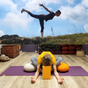 Danse du dragon et Yin yoga - Automne 2026 (date exacte à venir)